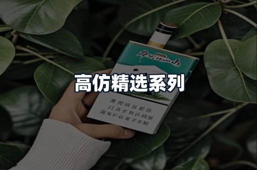 高仿精选系列